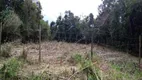 Foto 5 de Lote/Terreno à venda, 300m² em Jaraguá, São Sebastião