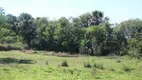 Foto 5 de Fazenda/Sítio com 2 Quartos à venda, 6000m² em Centro, Aragoiânia