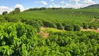 Foto 33 de Fazenda/Sítio à venda, 7600000m² em Zona Rural, Santo Antônio do Amparo