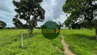 Foto 3 de Fazenda/Sítio à venda, 9002400m² em Zona Rural, Porangatu