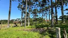 Foto 5 de Lote/Terreno à venda, 2200m² em Lageado, Campo Alegre