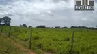 Foto 46 de Fazenda/Sítio com 3 Quartos à venda, 3700000m² em Zona Rural, Acorizal