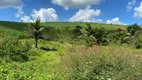 Foto 8 de Lote/Terreno à venda, 5000m² em Ipojuca, Ipojuca