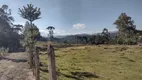 Foto 20 de Fazenda/Sítio à venda, 84700m² em Zona Rural, Delfim Moreira