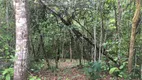 Foto 14 de Lote/Terreno à venda, 20000m² em Zona Rural, Pirenópolis