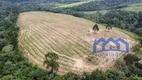 Foto 10 de Fazenda/Sítio com 4 Quartos à venda, 246400m² em Zona Rural, Pilar do Sul