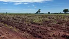 Foto 6 de Fazenda/Sítio com 10 Quartos à venda, 175m² em Setor Central, Gouvelândia