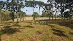 Foto 8 de Fazenda/Sítio com 2 Quartos à venda, 227305m² em Costeira, São José dos Pinhais