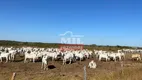 Foto 8 de Fazenda/Sítio à venda em Zona Rural, Formoso do Araguaia