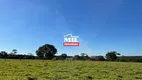 Foto 10 de Fazenda/Sítio à venda, 179080m² em Zona Rural, Goiânia