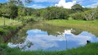 Foto 16 de Fazenda/Sítio com 4 Quartos à venda, 46000000m² em Centro, Professor Jamil