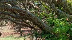 Foto 5 de Fazenda/Sítio com 3 Quartos à venda, 50000m² em Area Rural de Brazlandia, Brasília