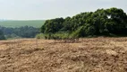 Foto 22 de Fazenda/Sítio à venda, 20000m² em Bom Retiro, Porto Feliz