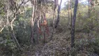 Foto 11 de Fazenda/Sítio com 3 Quartos à venda, 180m² em Serra do Cipó, Santana do Riacho