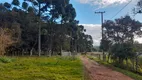 Foto 3 de Fazenda/Sítio com 2 Quartos à venda, 6000m² em Zona Rural, Tijucas do Sul