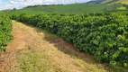 Foto 28 de Fazenda/Sítio à venda, 7600000m² em Zona Rural, Santo Antônio do Amparo