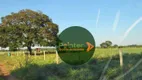 Foto 11 de Fazenda/Sítio à venda, 15923600m² em Zona Rural, Britânia