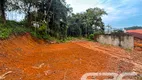 Foto 5 de Lote/Terreno à venda, 384m² em Floresta, Joinville