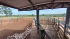 Foto 13 de Fazenda/Sítio com 4 Quartos à venda, 5000m² em Tabajaras, Uberlândia