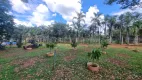 Foto 9 de Fazenda/Sítio com 3 Quartos à venda, 4500m² em , Bela Vista de Goiás