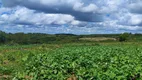 Foto 23 de Fazenda/Sítio com 3 Quartos à venda, 11m² em Cobe de Cima, Vera Cruz