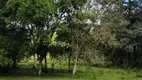 Foto 4 de Fazenda/Sítio à venda, 30000m² em Ambrosios, Tijucas do Sul