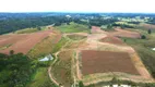 Foto 8 de Fazenda/Sítio à venda, 50000m² em Vila São Tiago, Piraquara