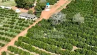 Foto 13 de Fazenda/Sítio à venda, 45700000m² em Zona Rural, Angatuba