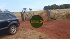 Foto 4 de Fazenda/Sítio à venda, 1500400m² em Zona Rural, Anicuns