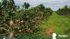 Foto 7 de Fazenda/Sítio à venda, 16m² em Centro, Porto Alegre do Tocantins