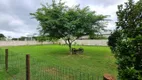 Foto 4 de Lote/Terreno à venda, 383m² em Campeche, Florianópolis