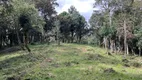 Foto 21 de Lote/Terreno à venda, 20000m² em Baiano, Urubici