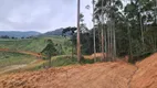 Foto 51 de Fazenda/Sítio com 1 Quarto à venda, 5000m² em Centro, Anitápolis