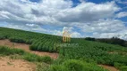 Foto 6 de Fazenda/Sítio à venda, 2420000m² em Zona Rural, Ipameri