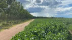 Foto 2 de Fazenda/Sítio com 7 Quartos à venda em , Campo Alegre de Goiás