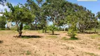 Foto 16 de Lote/Terreno à venda, 500m² em Centro, Abadiânia