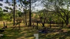 Foto 36 de Fazenda/Sítio com 4 Quartos à venda, 350m² em Vale Verde, Valinhos