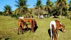 Foto 16 de Fazenda/Sítio com 3 Quartos à venda, 75000m² em Peróbas, Itaboraí