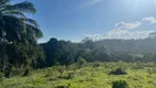 Foto 6 de Fazenda/Sítio à venda, 200000m² em Centro, Pau Brasil