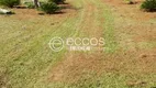 Foto 13 de Fazenda/Sítio com 4 Quartos à venda, 5000m² em Chácaras Eldorado, Uberlândia