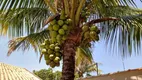 Foto 27 de Fazenda/Sítio com 2 Quartos para alugar, 900m² em Piracangagua, Taubaté