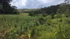 Foto 31 de Fazenda/Sítio à venda, 7000m² em Zona Rural, Delfim Moreira