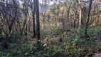 Foto 3 de Lote/Terreno à venda, 1000m² em Serra da Cantareira, Mairiporã