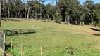 Foto 43 de Fazenda/Sítio com 4 Quartos à venda, 11000m² em Juquiazinho, Juquitiba