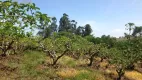 Foto 10 de Fazenda/Sítio com 6 Quartos à venda, 300m² em Reforma Agraria, Valinhos