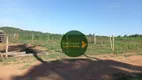 Foto 18 de Fazenda/Sítio à venda, 532400m² em Zona Rural, Edealina