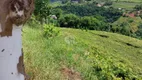 Foto 12 de Fazenda/Sítio com 1 Quarto à venda, 32000m² em Faria Lemos, Bento Gonçalves