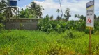 Foto 7 de Lote/Terreno à venda em Centro, São Miguel dos Milagres