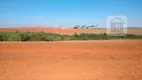 Foto 18 de Fazenda/Sítio à venda, 50500000m² em Zona Rural, Uberlândia