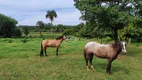 Foto 15 de Fazenda/Sítio à venda, 175000m² em Area Rural de Montes Claros, Montes Claros